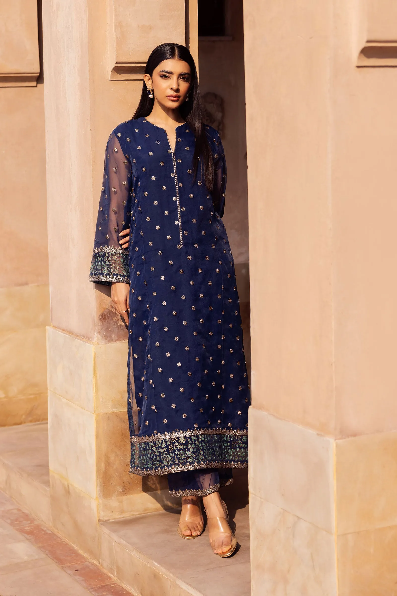 2 Pc Embroidered Organza Suit | MB-F24-505