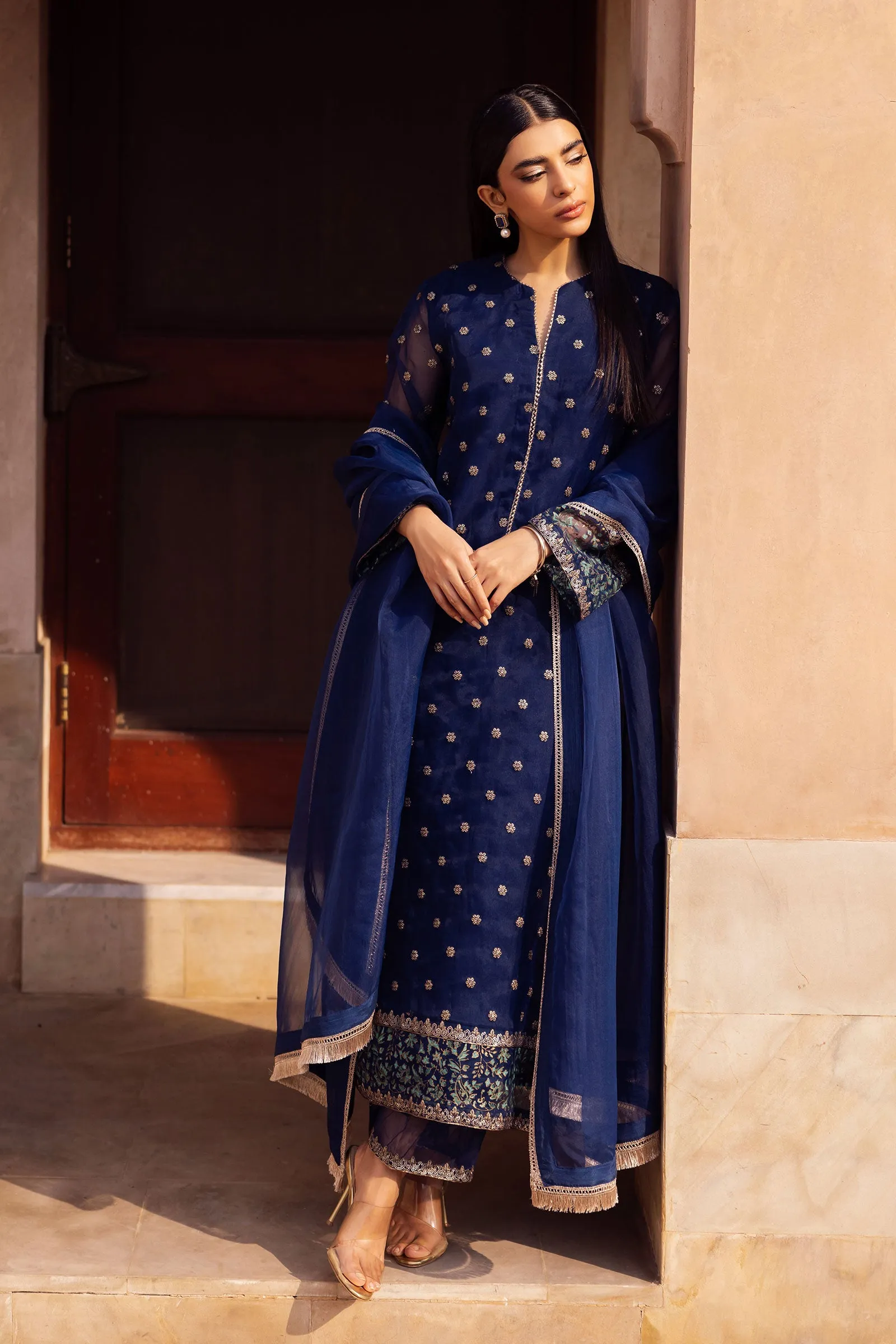 2 Pc Embroidered Organza Suit | MB-F24-505